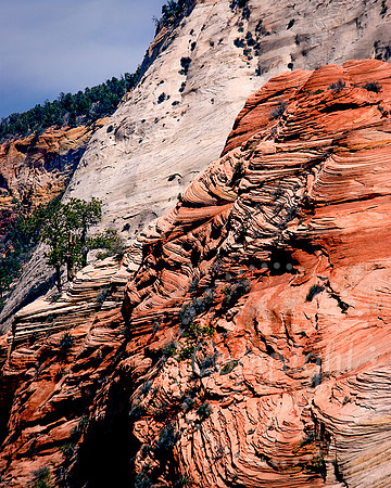 American Landscape Photography in The Southwest