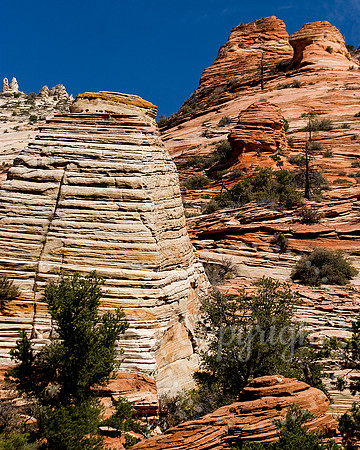 American Landscape Photography in The Southwest