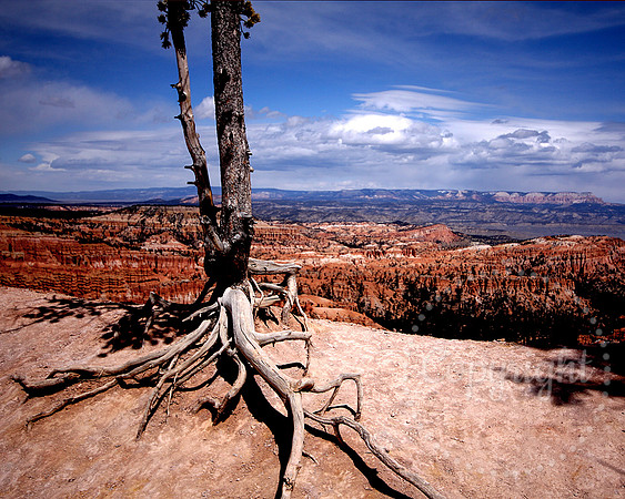 American Landscape Photography in The Southwest