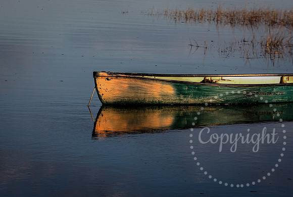 Artwork and Photography of Maine and New England