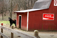 Fine Art Color and Black and White Photography of Arkansas