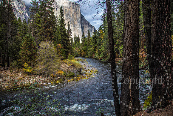 Dramatic Fine Art and Landscape Photography in Yosemite National Park