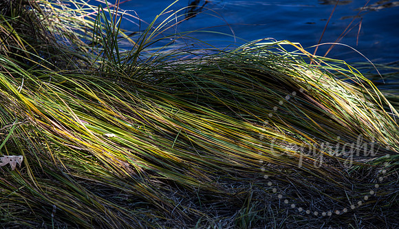 Dramatic Fine Art and Landscape Photography in Yosemite National Park