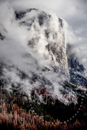 Dramatic Fine Art and Landscape Photography in Yosemite National Park