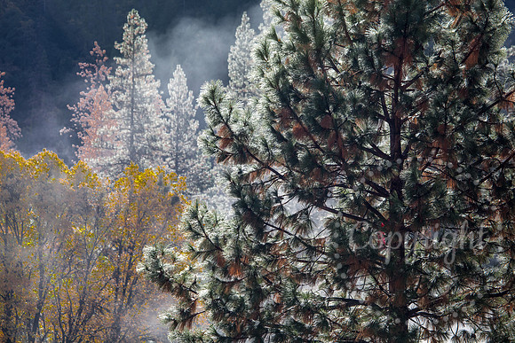 United States National Park Photography
