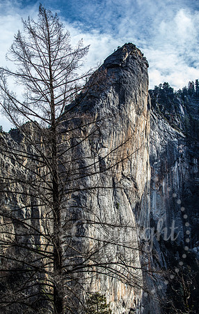Dramatic Fine Art and Landscape Photography in Yosemite National Park