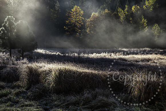Dramatic Fine Art and Landscape Photography in Yosemite National Park