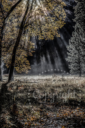 United States National Park Photography