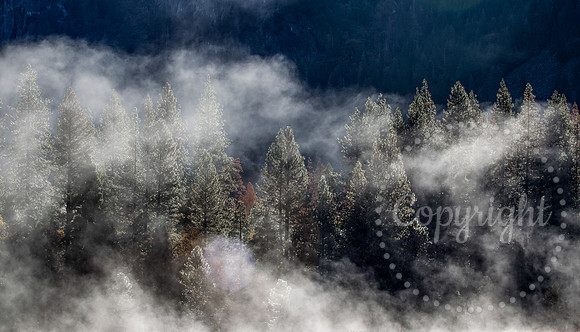 Dramatic Fine Art and Landscape Photography in Yosemite National Park