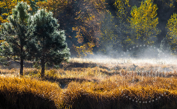 United States National Park Photography
