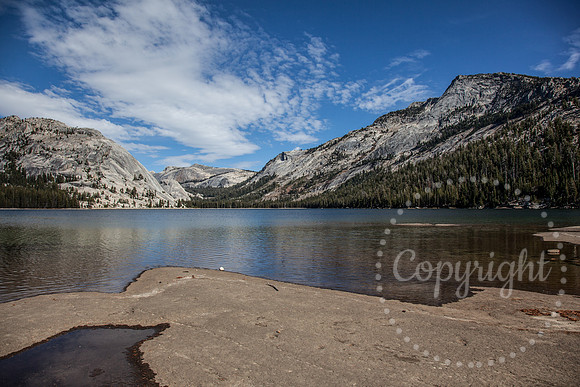 Dramatic Fine Art and Landscape Photography in Yosemite National Park