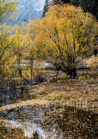 Dramatic Fine Art and Landscape Photography in Yosemite National Park
