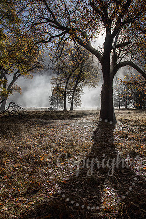 United States National Park Photography