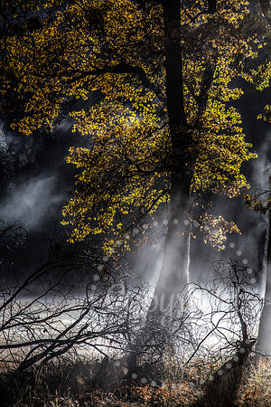 Dramatic Fine Art and Landscape Photography in Yosemite National Park