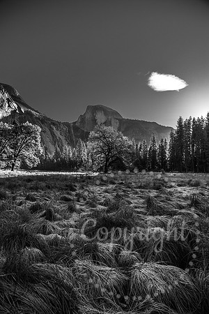 Dramatic Fine Art and Landscape Photography in Yosemite National Park