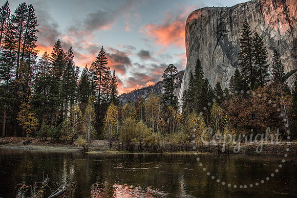 United States National Park Photography