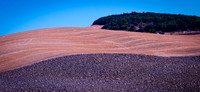 Southern Tuscan Italian Landscape and Fine Art Photography