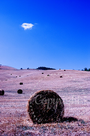 Southern Tuscan Italian Landscape and Fine Art Photography