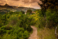 Southern Tuscan Italian Landscape and Fine Art Photography