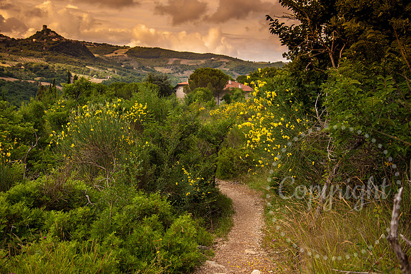 Southern Tuscan Italian Landscape and Fine Art Photography