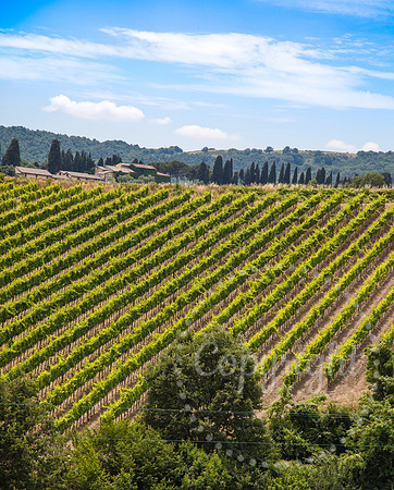 Southern Tuscan Italian Landscape and Fine Art Photography