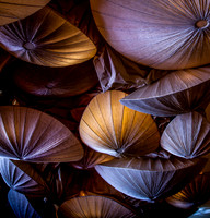 Abstract and Colorful Fine Art Photography