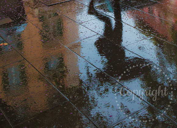 Photography in the Rain, Italian Fine Art Photography